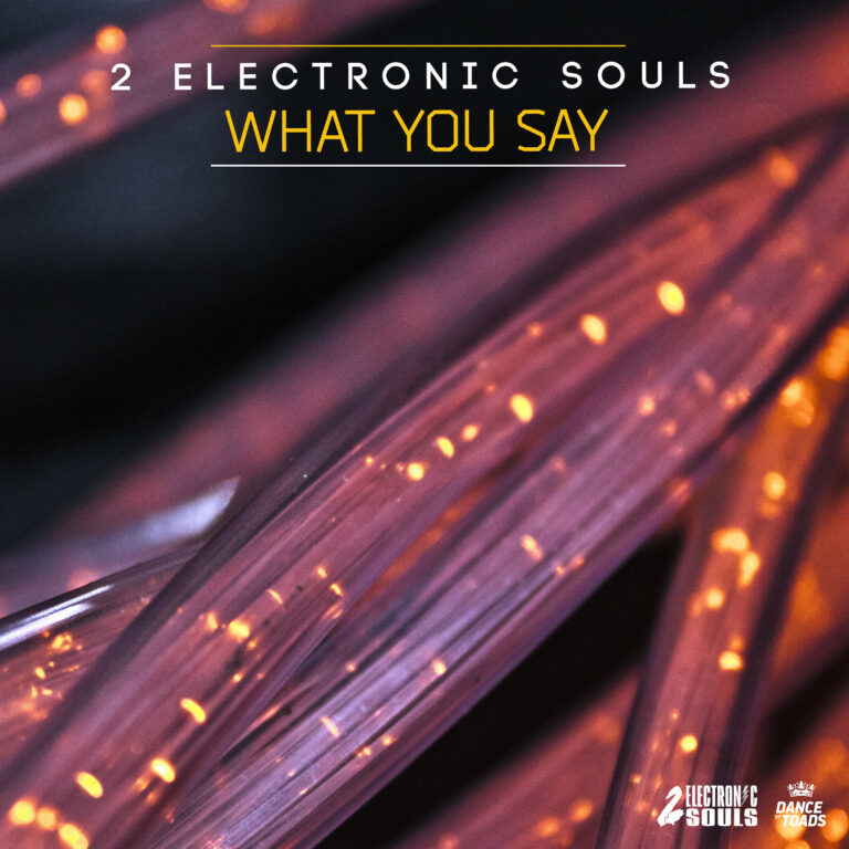 2 ELECTRONIC SOULS What You Say