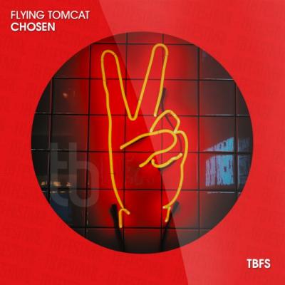 Flying Tomcat