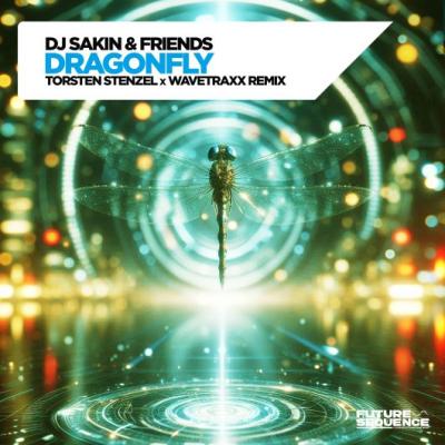 DJ Sakin & Friends