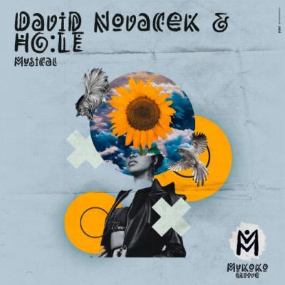 David Novacek