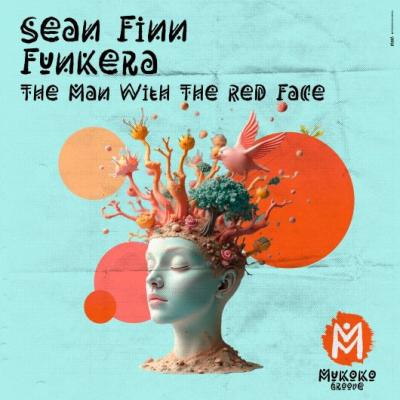 Sean Finn, Funkera