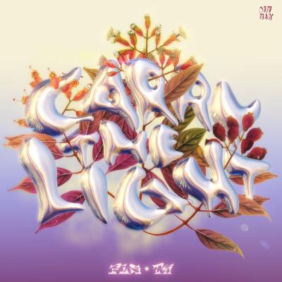 PLS&TY & Nu-La Carry The Light