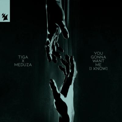 Tiga vs MEDUZA You Gonna Want Me (I Know)