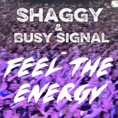 Shaggy feat. Busy Signa Feel The Energy
