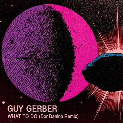 Guy Gerber What to do  (Dor Danino Remix)
