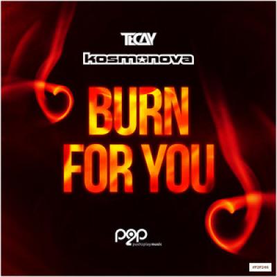 TeCay & Kosmonova Burn for You