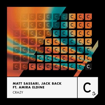 Matt Sassari, Jack Back & David Guetta feat. Amira Eldine Crazy (Extended Mix)