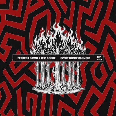 Ferreck Dawn & Jem Cooke Everything You Need