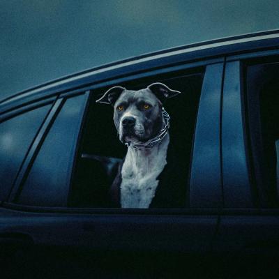 Chris Lorenzo, Kah-lo In This Bih`