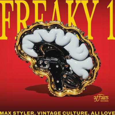 Max Styler, Vintage Culture, Ali Love Freaky 1