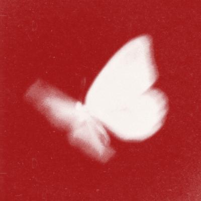 bradeazy & Crazy Town Butterfly 2026