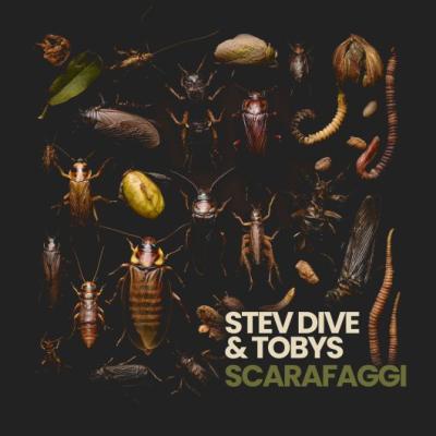 Stev Dive & TOBYS Scarafaggi
