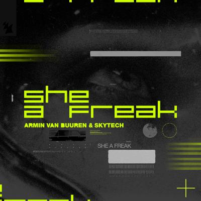 Armin van Buuren & Skytech She A Freak