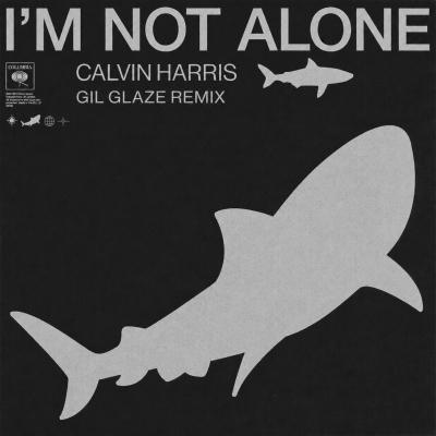 Calvin Harris Not Alone