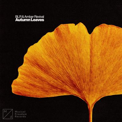 BLR, Amber Revival Autumn Leaves