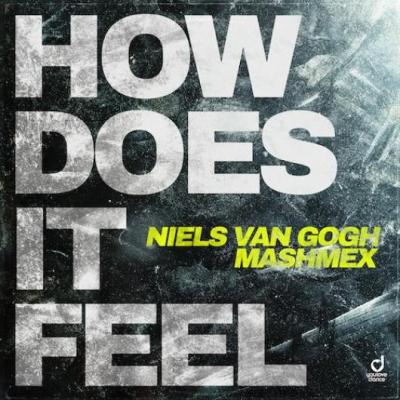 Niels Van Gogh & Mashmex How Does It Feel